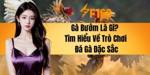 Gà Bướm Là Gì? Tìm Hiểu Về Trò Chơi Đá Gà Đặc Sắc