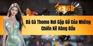 Đá Gà Thomo - Nơi Gặp Gỡ Của Những Chiến Kê Hàng Đầu