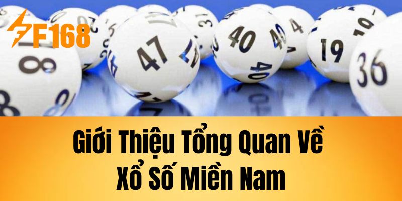 Giới Thiệu Tổng Quan Về Xổ Số Miền Nam